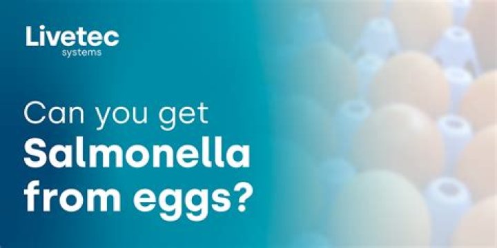 Can you get salmonella from cold cooked eggs?