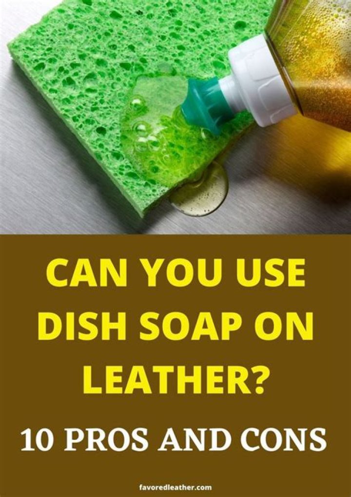 Can you use dish soap on leather seats?