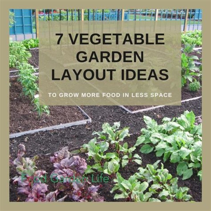 How do you layout a vegetable garden?