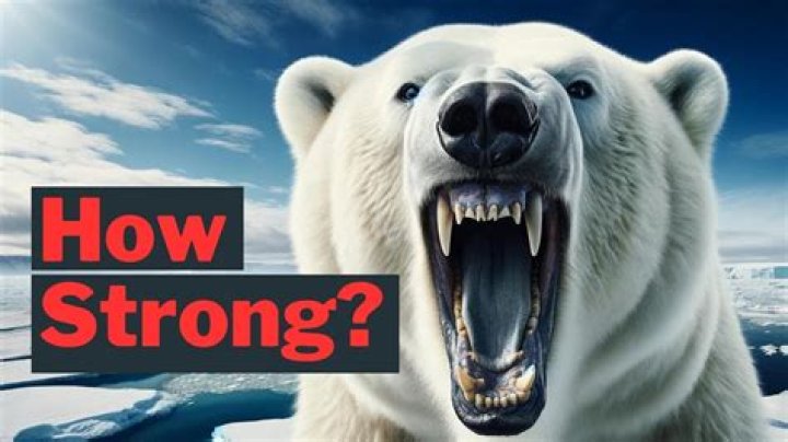 How strong is a bears bite?