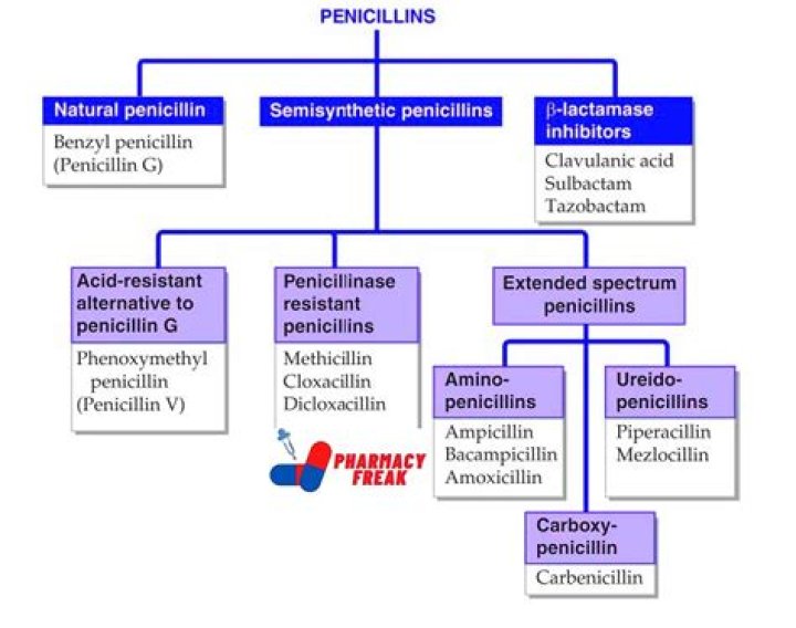 What is the best penicillin for syphilis?