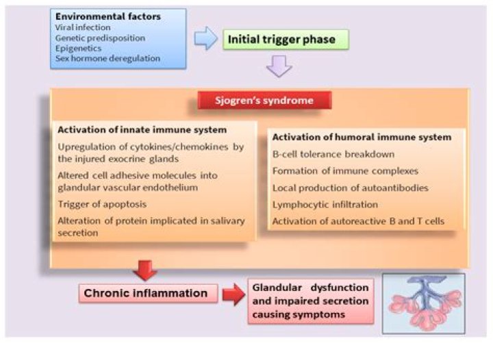 What percent of Sjogren's patients get lymphoma?