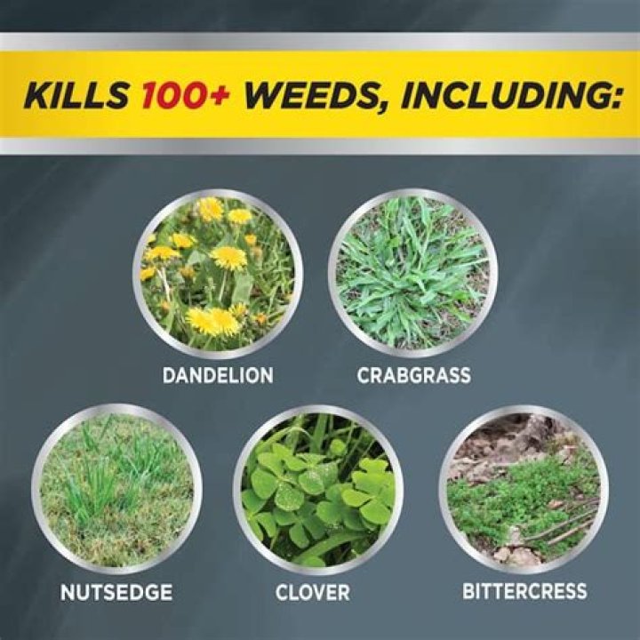 What vinegar is best for killing weeds?