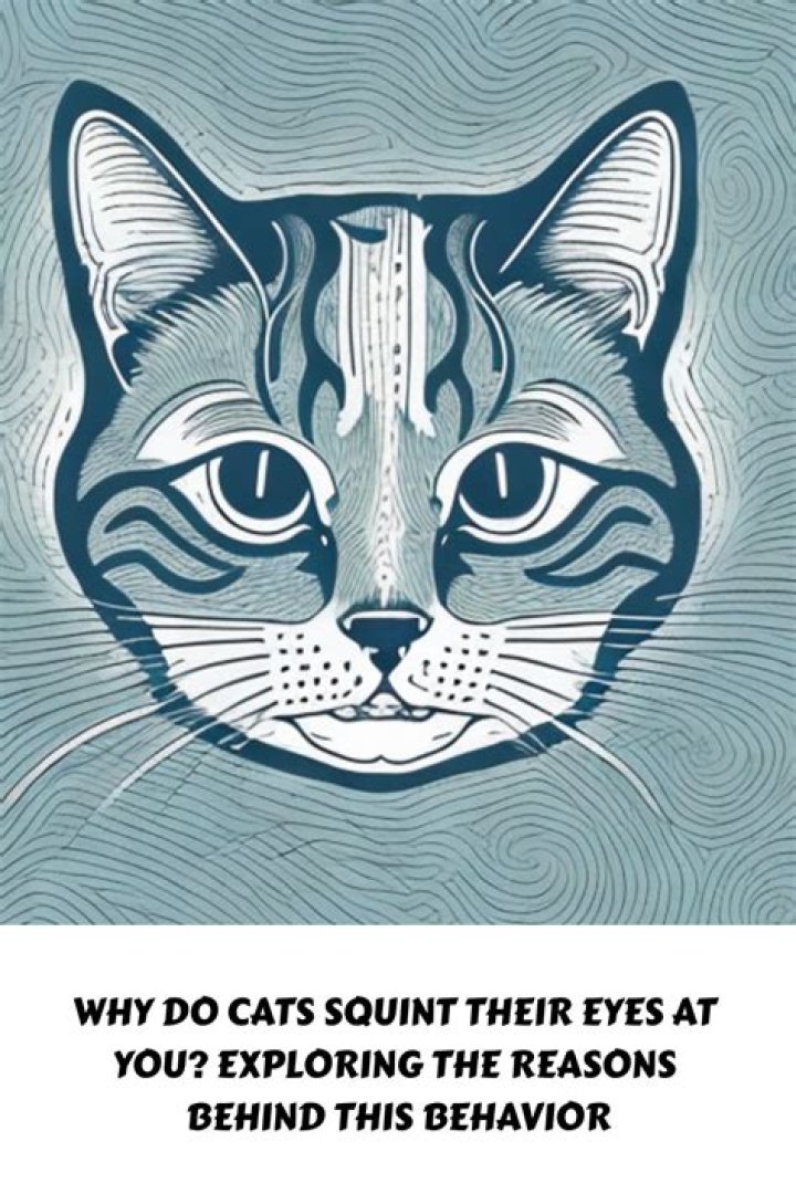Why do cats squint their eyes at you?